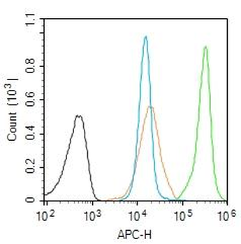 BARD1 Rabbit Polyclonal Antibody