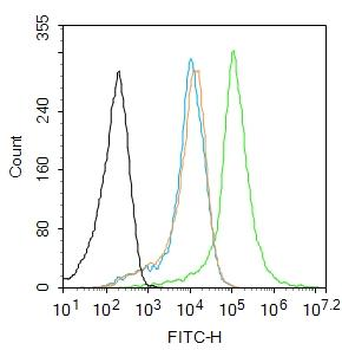 HACE1 Rabbit Polyclonal Antibody