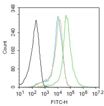 HACE1 Rabbit Polyclonal Antibody