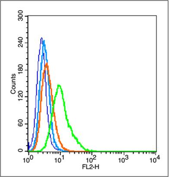 ID1 Rabbit Polyclonal Antibody
