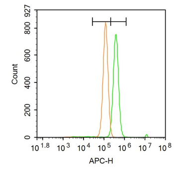 RNA polymerase II CTD repeat YSPTSPS (phospho S2) Rabbit Polyclonal Antibody