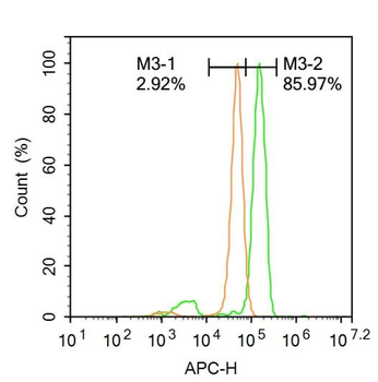RNA polymerase II CTD repeat YSPTSPS (phospho S2) Rabbit Polyclonal Antibody