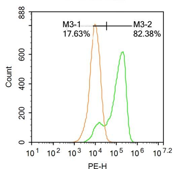 ASC/TMS1 Rabbit Polyclonal Antibody