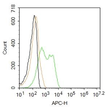 NeuN Rabbit Polyclonal Antibody (APC)