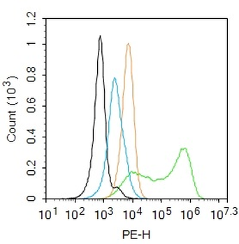 Phospho-TIRAP (Tyr86) Rabbit Polyclonal Antibody