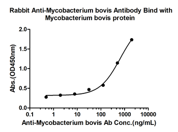 Mycobacterium bovis Rabbit Polyclonal Antibody