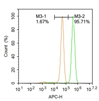 MCPIP1 Rabbit Polyclonal Antibody