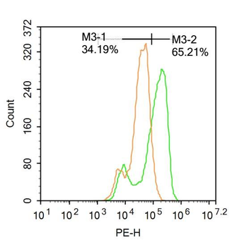 FREAC3 Rabbit Polyclonal Antibody