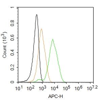 RANKL/CD254 Rabbit Polyclonal Antibody (APC)