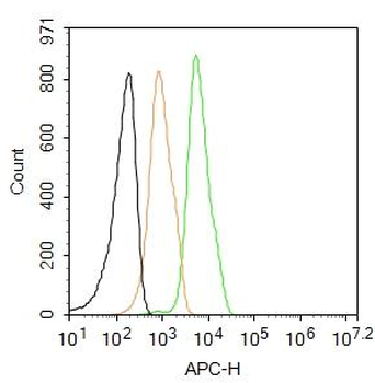 RANKL/CD254 Rabbit Polyclonal Antibody (APC)