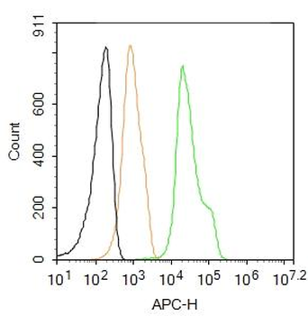 ZO-1/TJP1 Rabbit Polyclonal Antibody (APC)