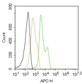 Integrin beta 1 Rabbit Polyclonal Antibody (APC)