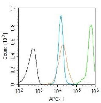 REC8 Rabbit Polyclonal Antibody