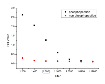 Phospho-LATS1+LATS2 (Thr1079 +Thr1041) Rabbit Polyclonal Antibody