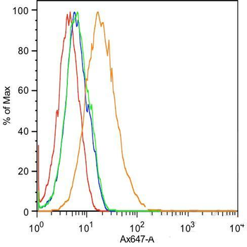 K Cadherin Rabbit Polyclonal Antibody