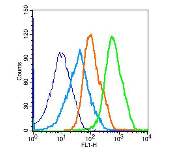 SIRT7 Rabbit Polyclonal Antibody