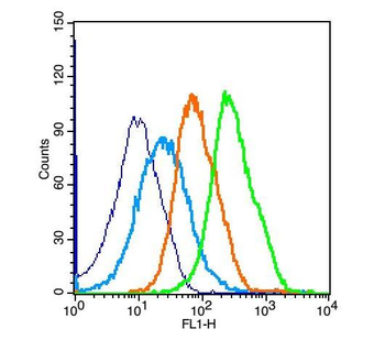 Bcl-2 Rabbit Polyclonal Antibody