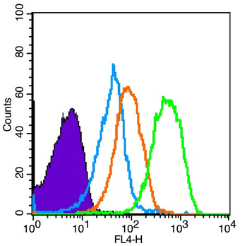 AMPK alpha 1 Rabbit Polyclonal Antibody