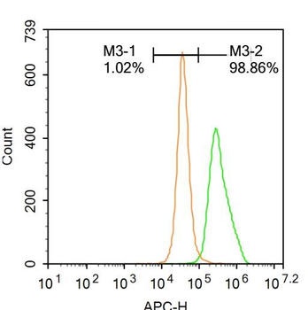 GADD45B Rabbit Polyclonal Antibody