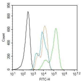 RAC1+RAC2 Rabbit Polyclonal Antibody