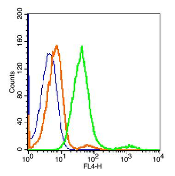 Collagen IV Rabbit Polyclonal Antibody