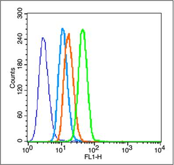 MMP2 Rabbit Polyclonal Antibody