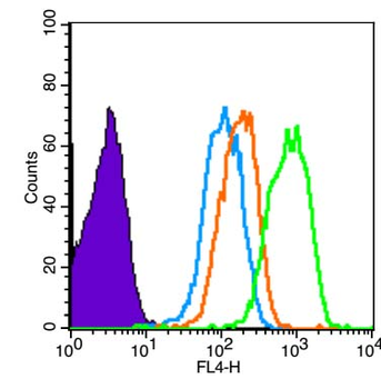 Phospho-AR/Androgen receptor (Ser578) Rabbit Polyclonal Antibody