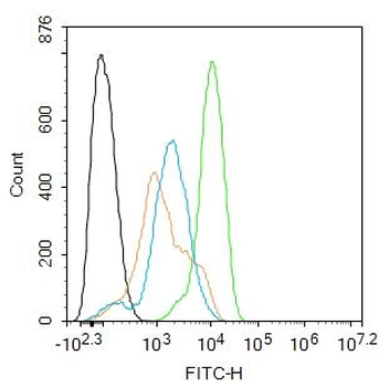 IMPDH1 Rabbit Polyclonal Antibody