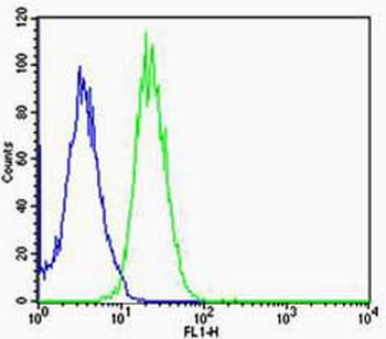ARC Rabbit Polyclonal Antibody
