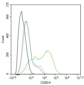 FCAR/CD89 Rabbit Polyclonal Antibody