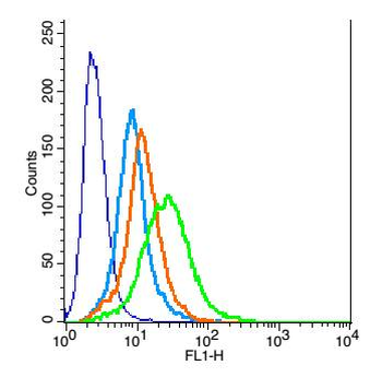 Activin A Receptor Type IC Rabbit Polyclonal Antibody