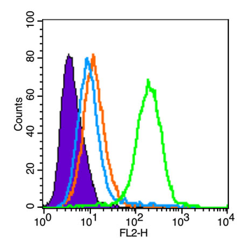 ADAM12 Rabbit Polyclonal Antibody