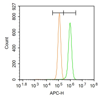 Ferritin Heavy Chain/FTH1 Rabbit Polyclonal Antibody