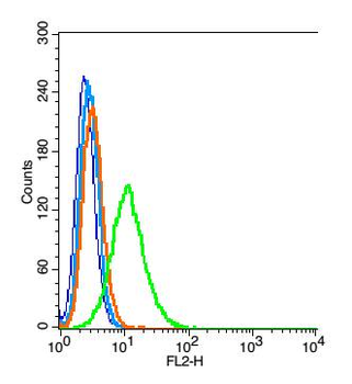 TAGL2 Rabbit Polyclonal Antibody