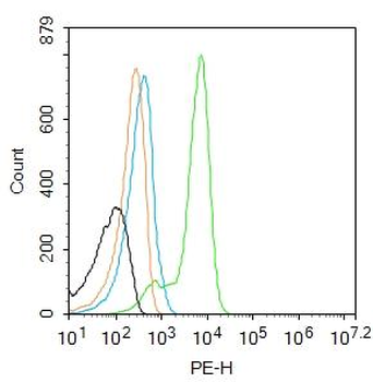Acid sphingomyelinase Rabbit Polyclonal Antibody