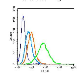 NARG2 Rabbit Polyclonal Antibody