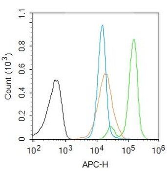 EZH1 Rabbit Polyclonal Antibody