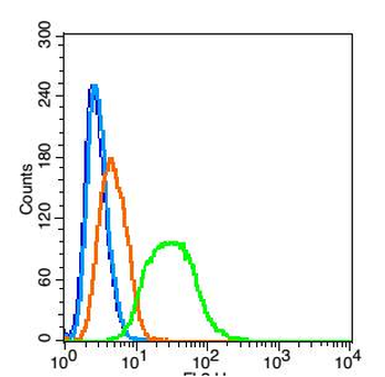 Ribonuclease Inhibitor Rabbit Polyclonal Antibody