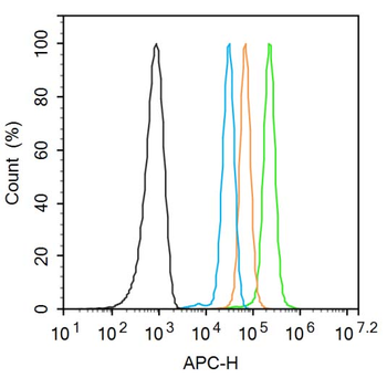 Phospho-MST1R (Tyr1353) Rabbit Polyclonal Antibody