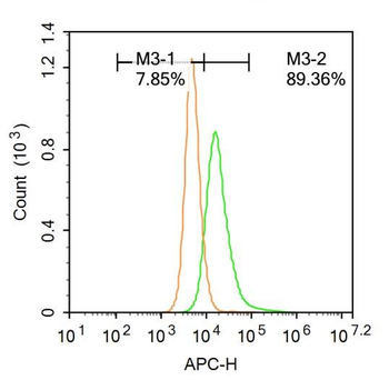 APH1a Rabbit Polyclonal Antibody