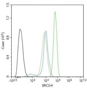 NCOA3 Rabbit Polyclonal Antibody
