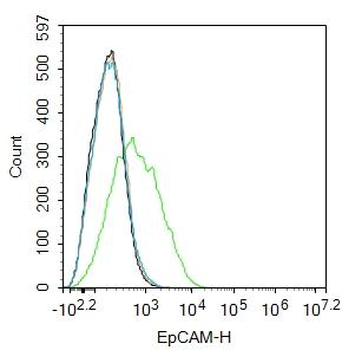 EpCAM Rabbit Polyclonal Antibody