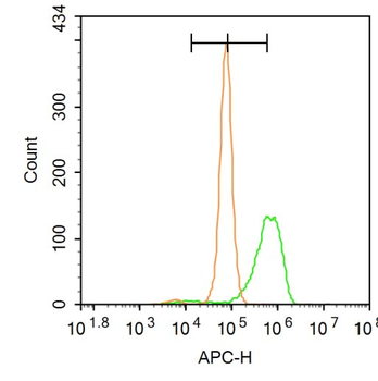 KDM5B Rabbit Polyclonal Antibody