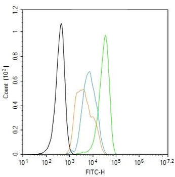 ENPP2 Rabbit Polyclonal Antibody