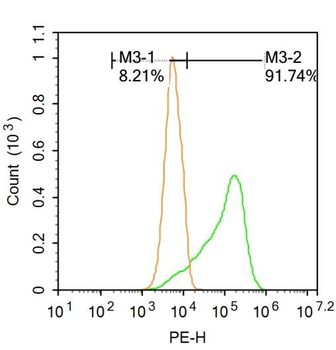 Bim Rabbit Polyclonal Antibody