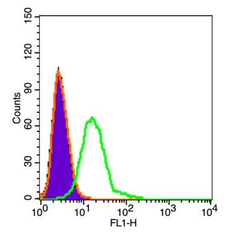 ADAM12 Rabbit Polyclonal Antibody (FITC)