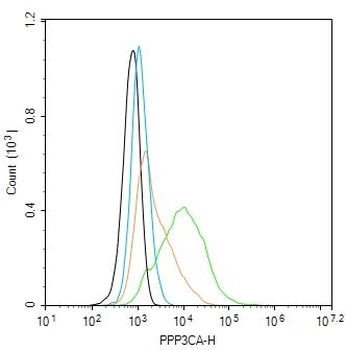 PPP3CA Mouse Polyclonal Antibody