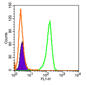 ERAS Rabbit Polyclonal Antibody (FITC)