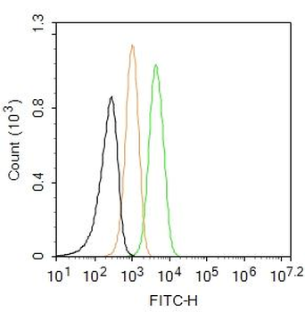 IGF I Rabbit Polyclonal Antibody (FITC)