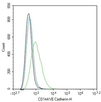 CD144/VE Cadherin Rabbit Polyclonal Antibody